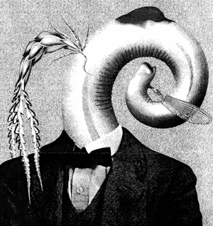 460>_2512162